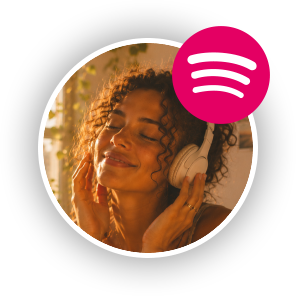 minify-spotify